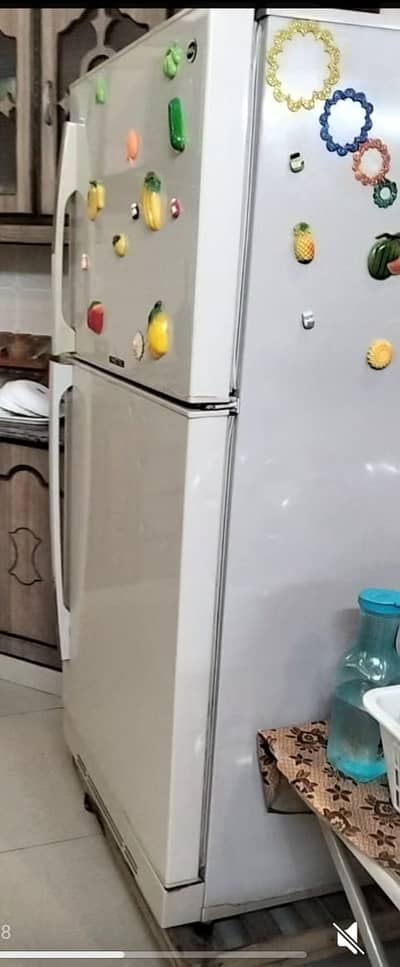 Pel Refrigerator - Neat and Clean