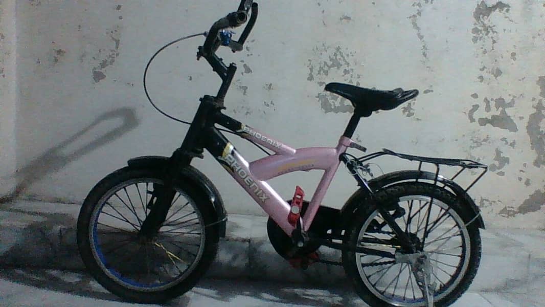 cycle 1