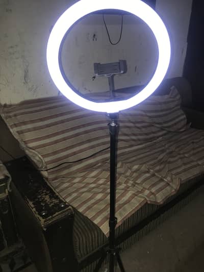 3 colour light new ring light 7 feet hight