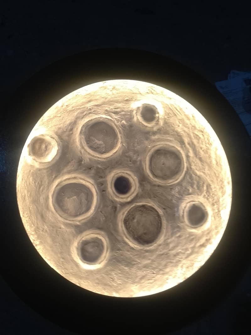 moon light 0