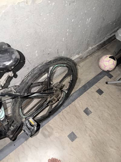 Morgan bicycle for sale