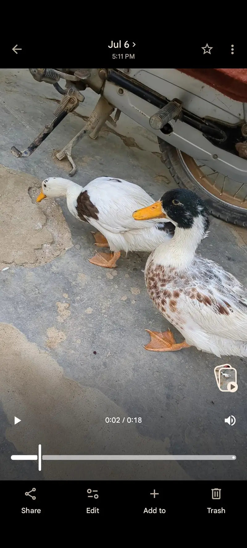 2 adad garelo batakh ha — photo 3