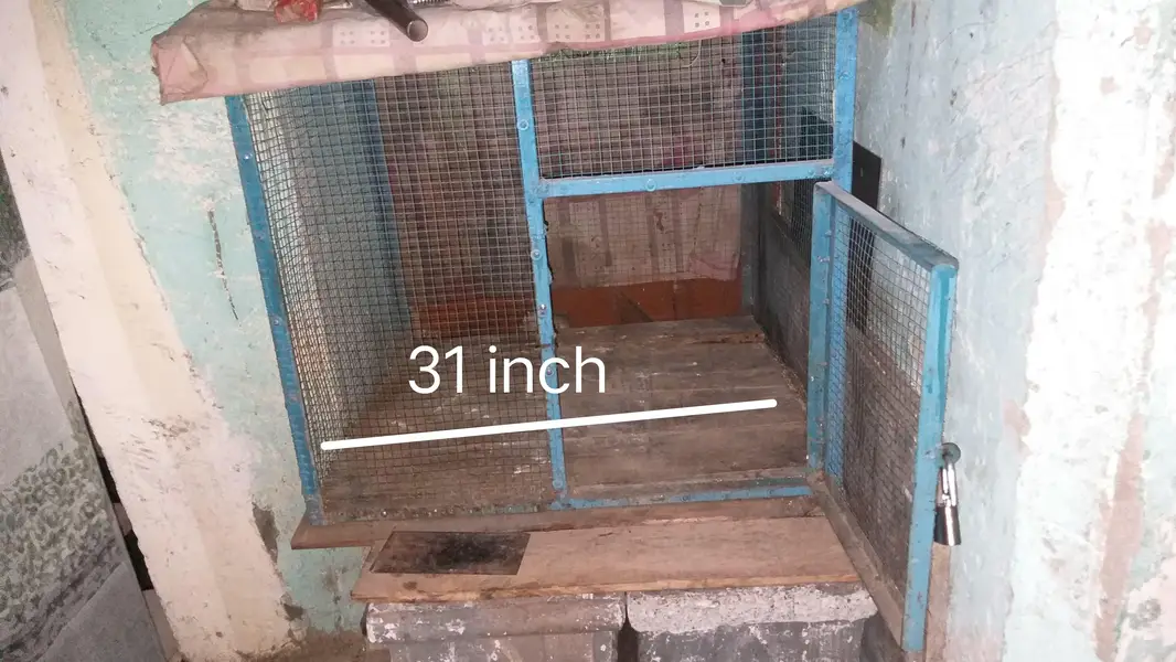 birds cage — photo 2