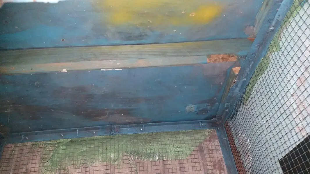 birds cage — photo 5