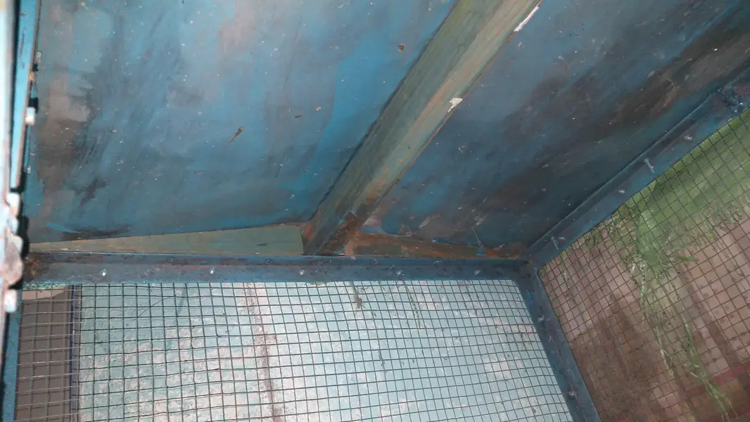 birds cage — photo 6