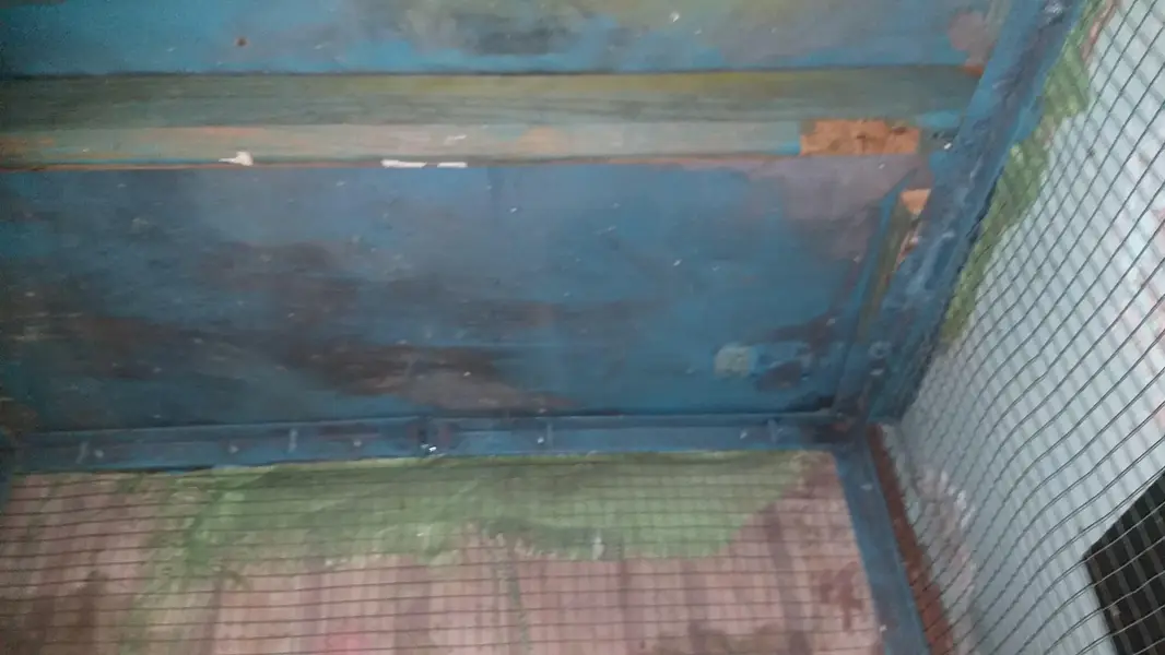 birds cage — photo 7