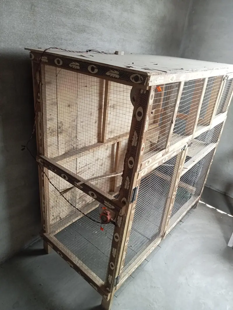 Wooden Cage With two doors 4 feet hight 5 feet length — photo 2