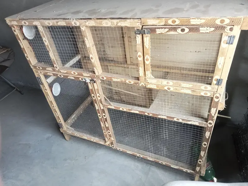 Wooden Cage With two doors 4 feet hight 5 feet length — photo 3