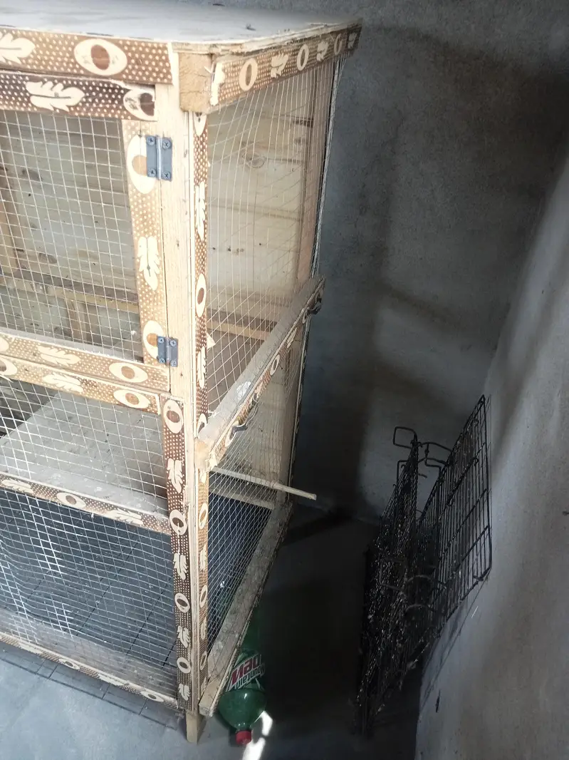 Wooden Cage With two doors 4 feet hight 5 feet length — photo 4