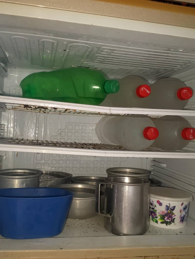 fridge 2