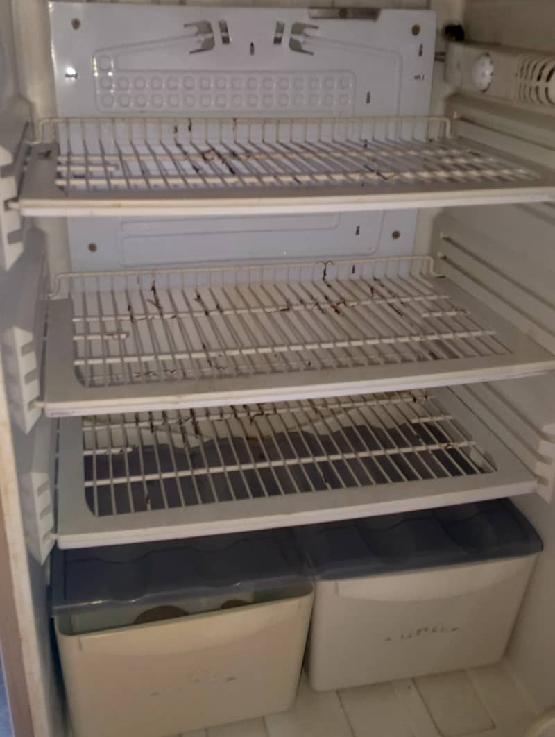 fridge 3