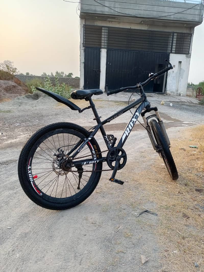 Roxy Cycle 0