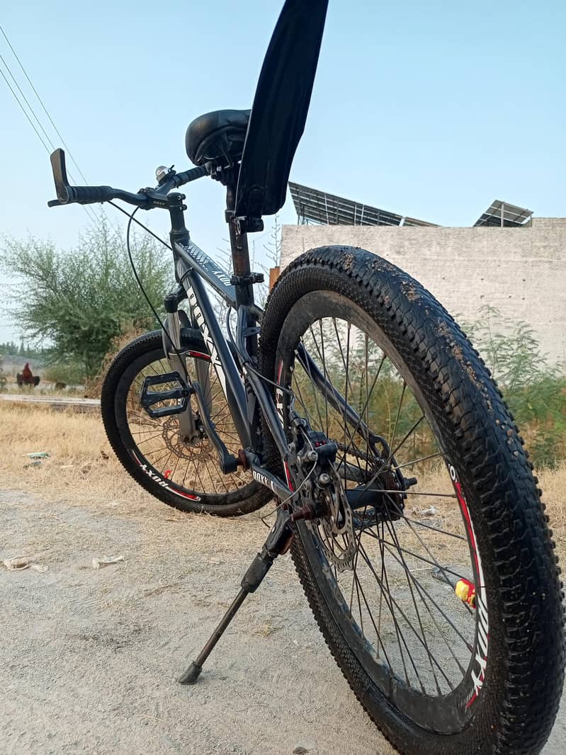 Roxy Cycle 2