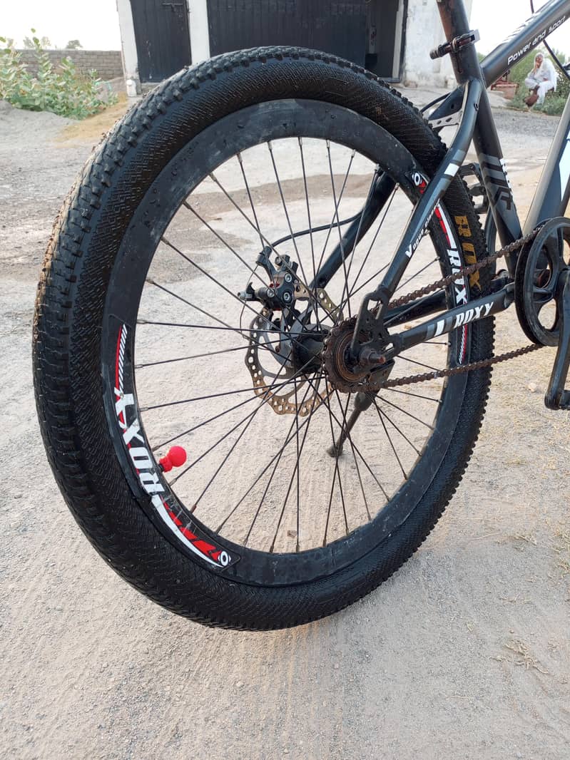 Roxy Cycle 3
