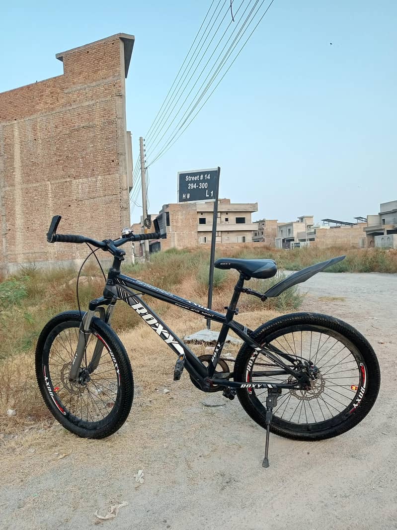 Roxy Cycle 4