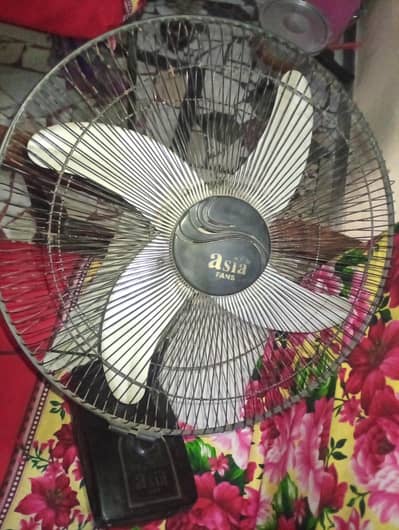 Asia fans 2 fans