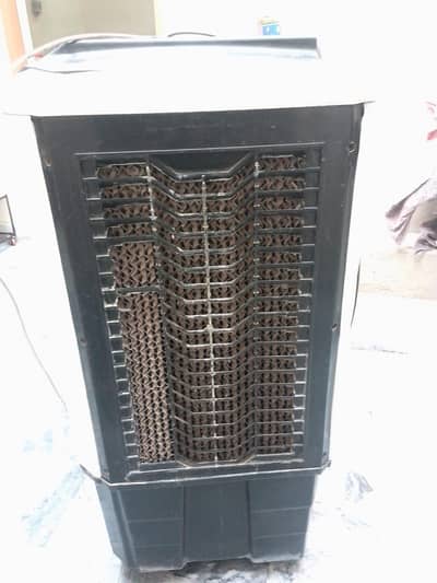 Air cooler
