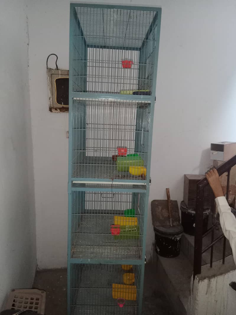 4 portion cage 1