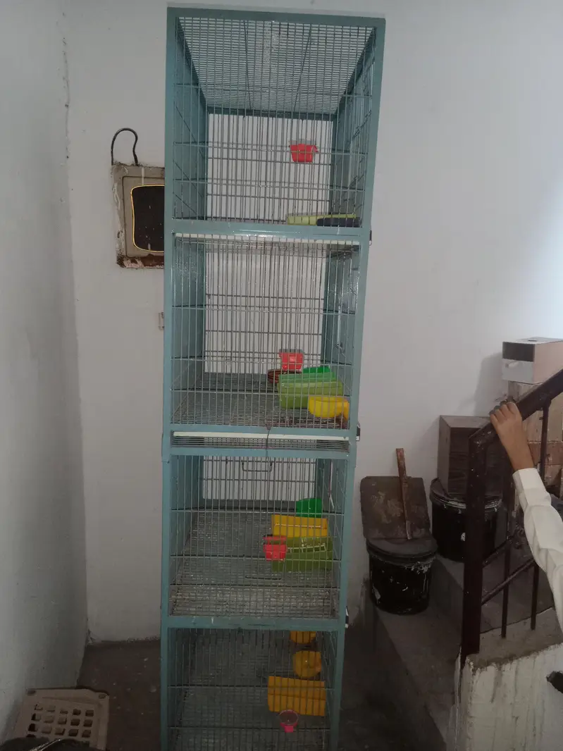 4 portion cage — photo 2