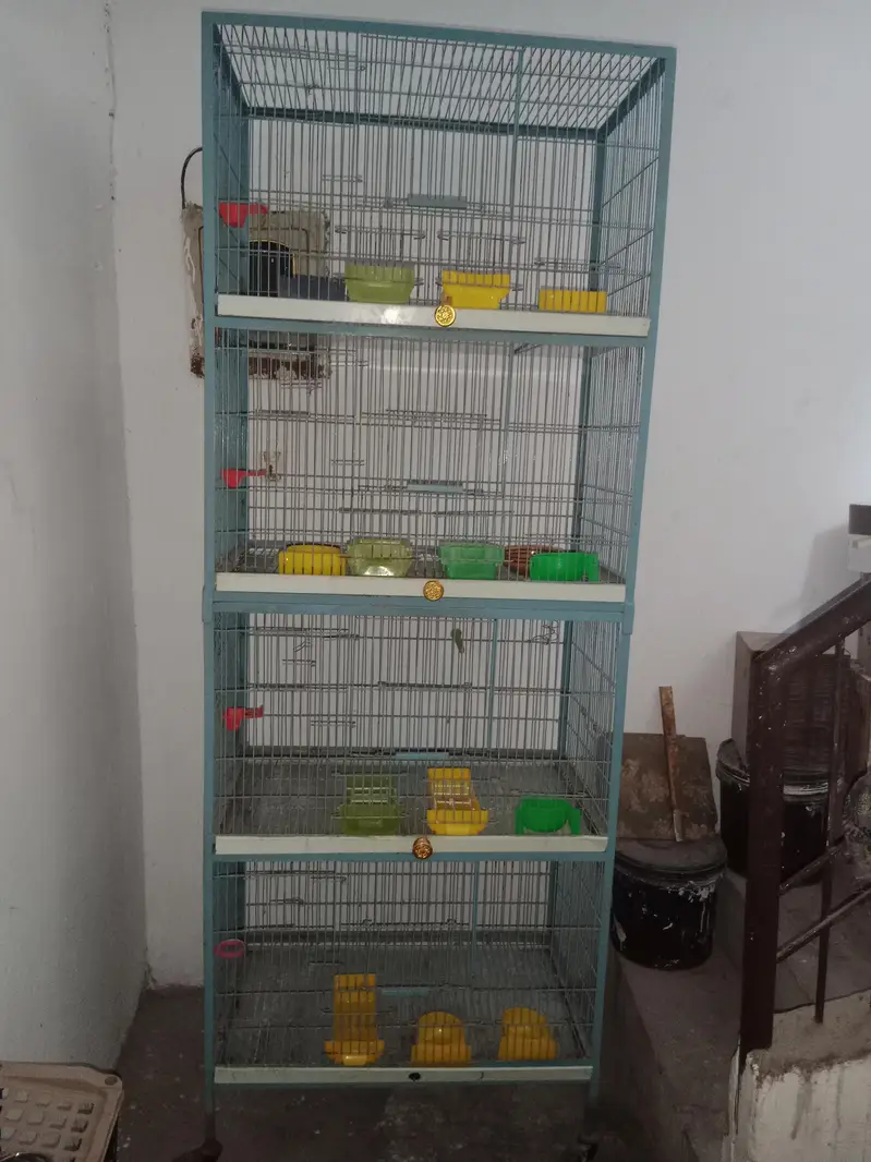 4 portion cage — photo 4