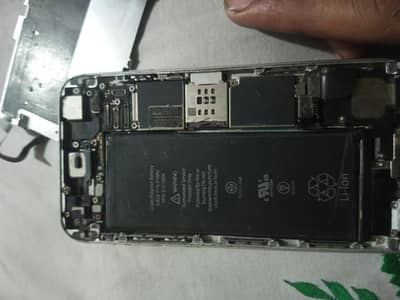 Apple iPhone 6