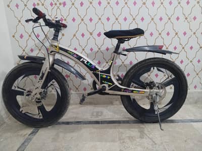 Bicycle (Imported)