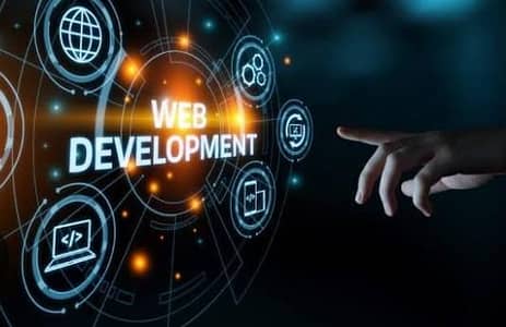professional web developer