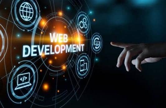 professional web developer 0