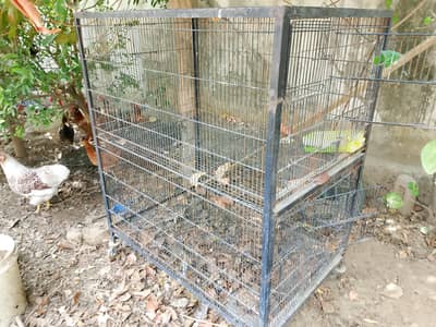 parrot and hen cages for sale