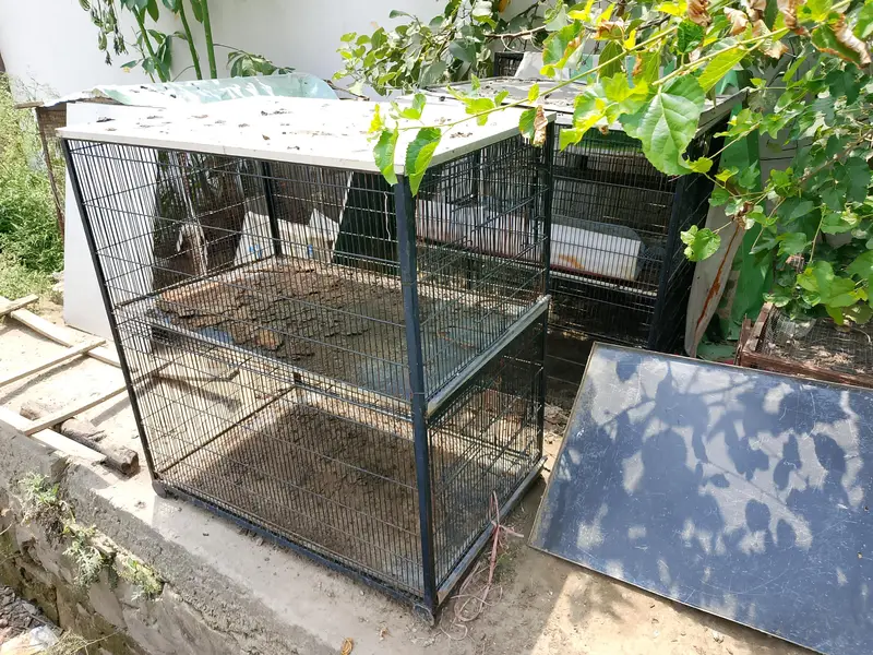 parrot and hen cages for sale — photo 4