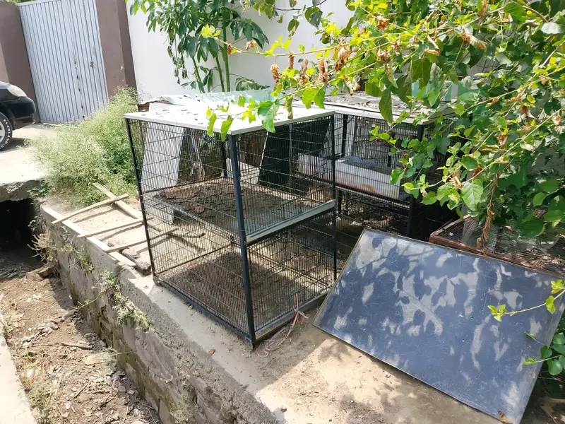 parrot and hen cages for sale — photo 5
