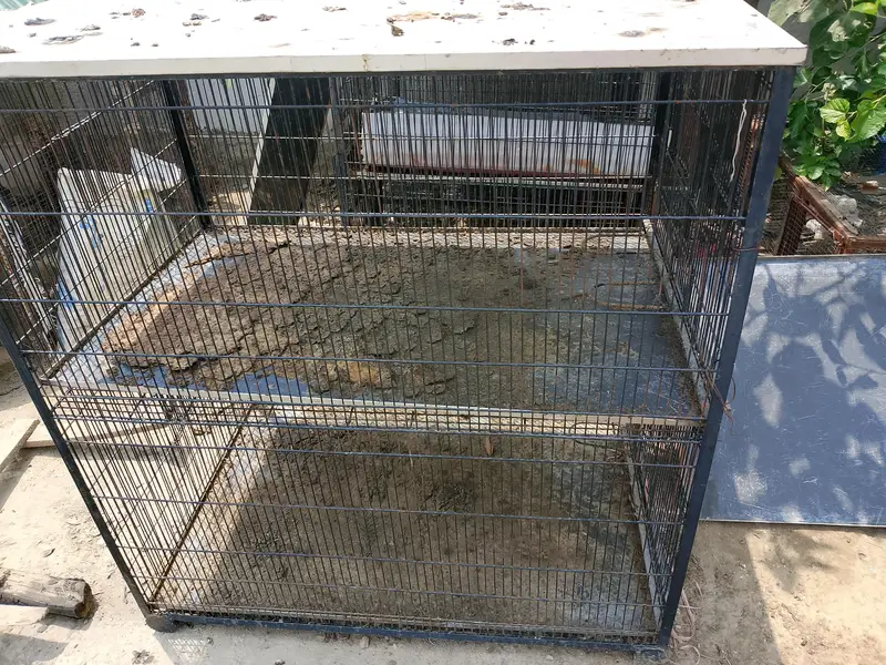 parrot and hen cages for sale — photo 6