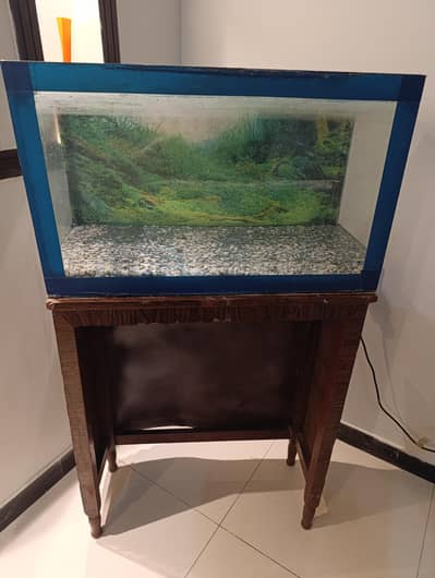 Fish Aquarium glass