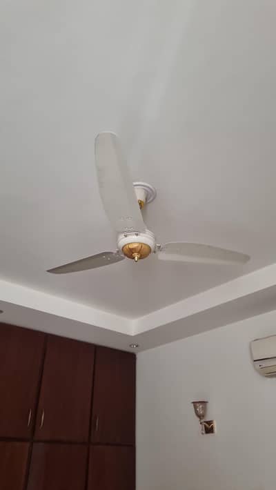 used very less Royal Fan in 2 to 3 years old.