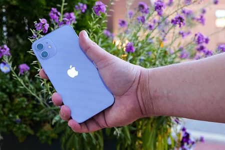I phone 12 official pta approved