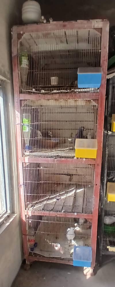 4 portion cage 3044349027