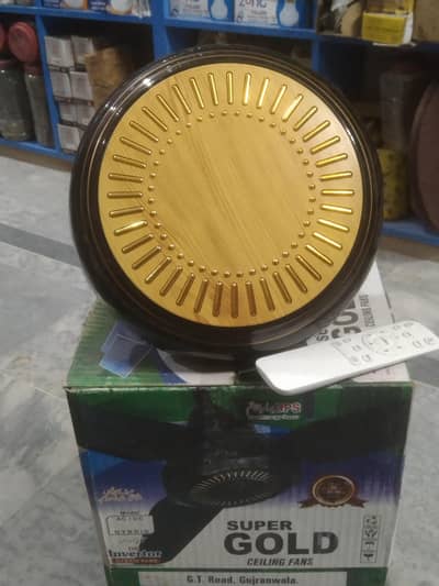 AC/DC Ceiling Fan