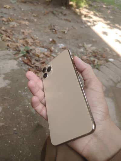 IPHONE 11 pro max pta 256 gb golden box b hy