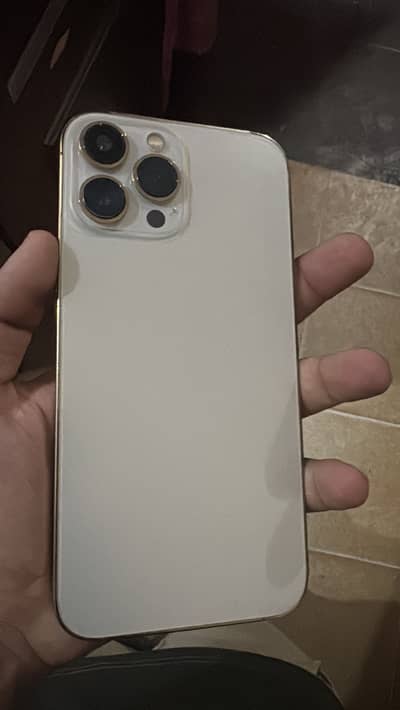 Apple iPhone 13 Pro Max