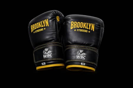 Brooklyn Fitboxing Boxing Gloves M Size – Excellent Condition