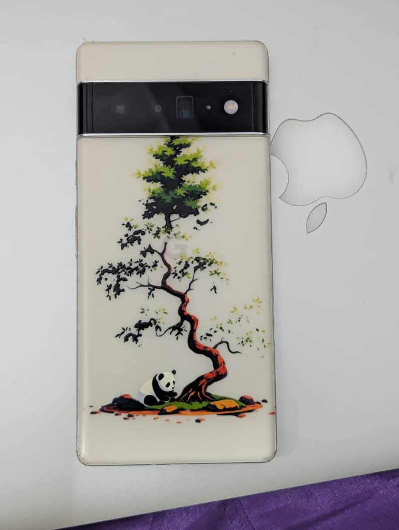 Google Pixel 6 Pro 1