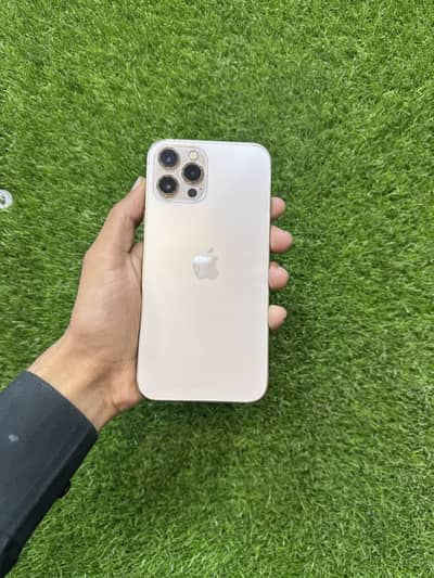 iPhone 12 Pro Max (256GB Gold) – Dual PTA Approved