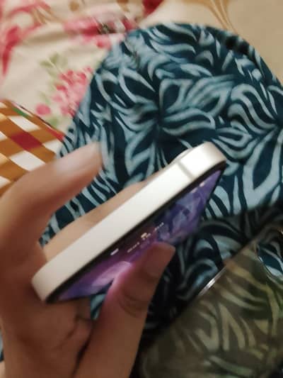 iPhone 13  128gb