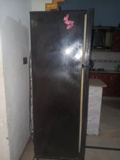 PEL Glass door Fridge ( Large Size)