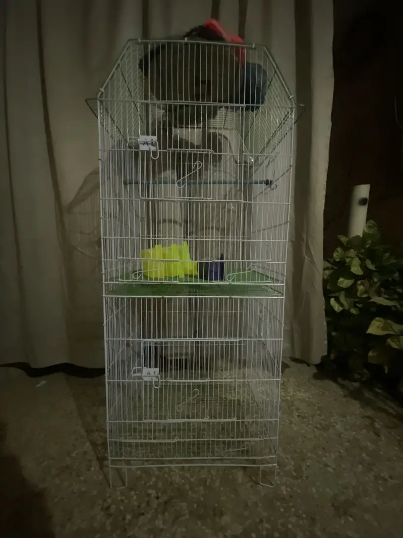 Double cage for sell — photo 2