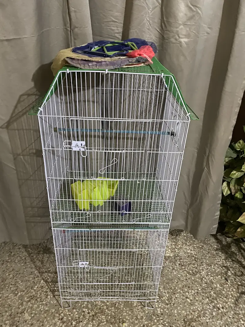 Double cage for sell — photo 4