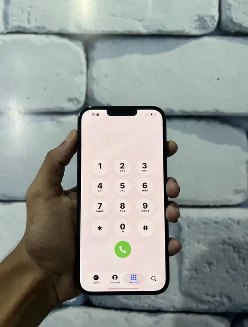 iPhone 13 pro max 2