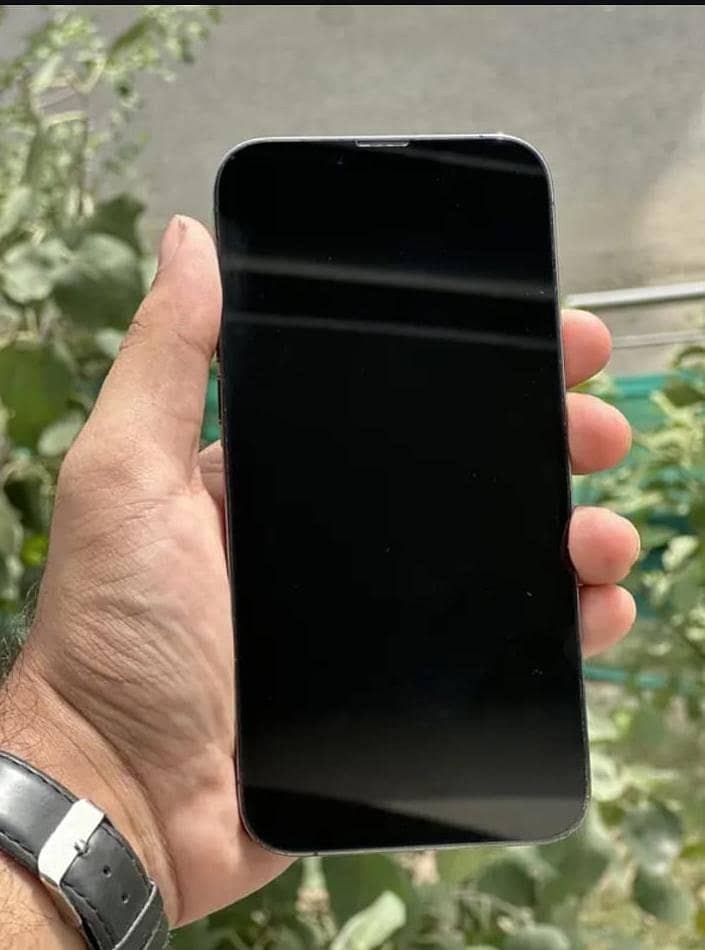Apple iPhone 13 Pro Max 0