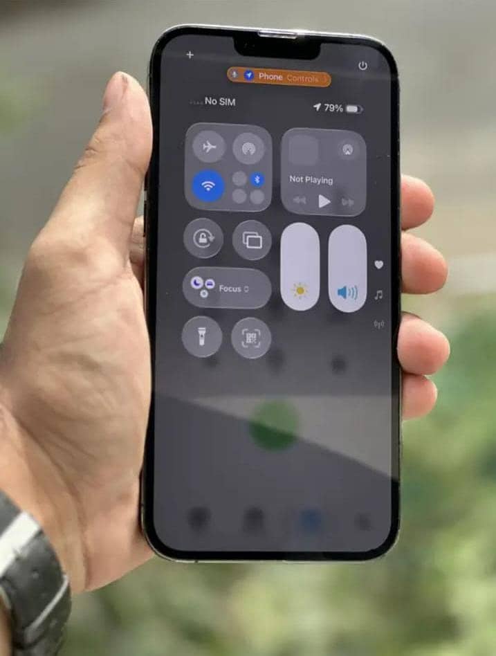 Apple iPhone 13 Pro Max 2