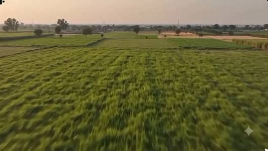 Lahore Organic Farms Society Located on Main Barki Road, Lahore.
